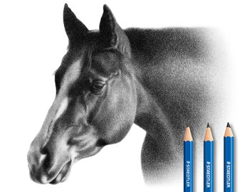 Custom Horse Pencil Drawing - Personalized Horse Illustration.