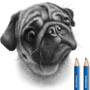 Personalised Pet Drawing - Handmade drawing.