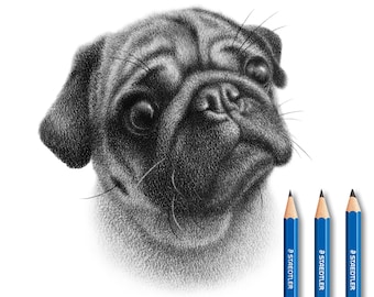Dibujo de Mascota Personalizado - Dibujo hecho a mano.