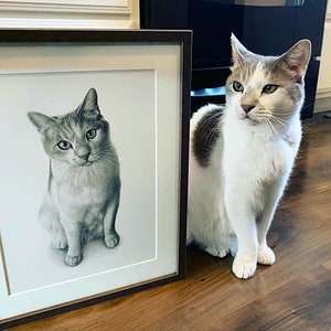 Custom Cat Pencil portrait - Personalized portrait - 100% handmade.