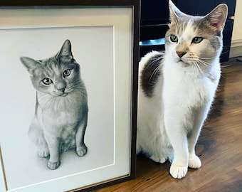 Custom Cat Pencil portrait - Personalized portrait - 100% handmade.