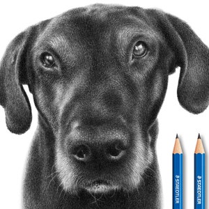 Commission pet drawing from photo - 100% handmade.