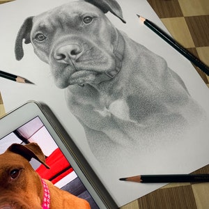 Personalized dog pencil drawing Custom dog drawing 100% Hand-drawn portrait. image 2