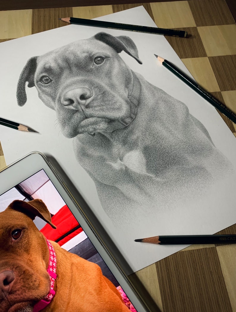 Personalized dog pencil drawing Custom dog drawing 100% Hand-drawn portrait. image 2