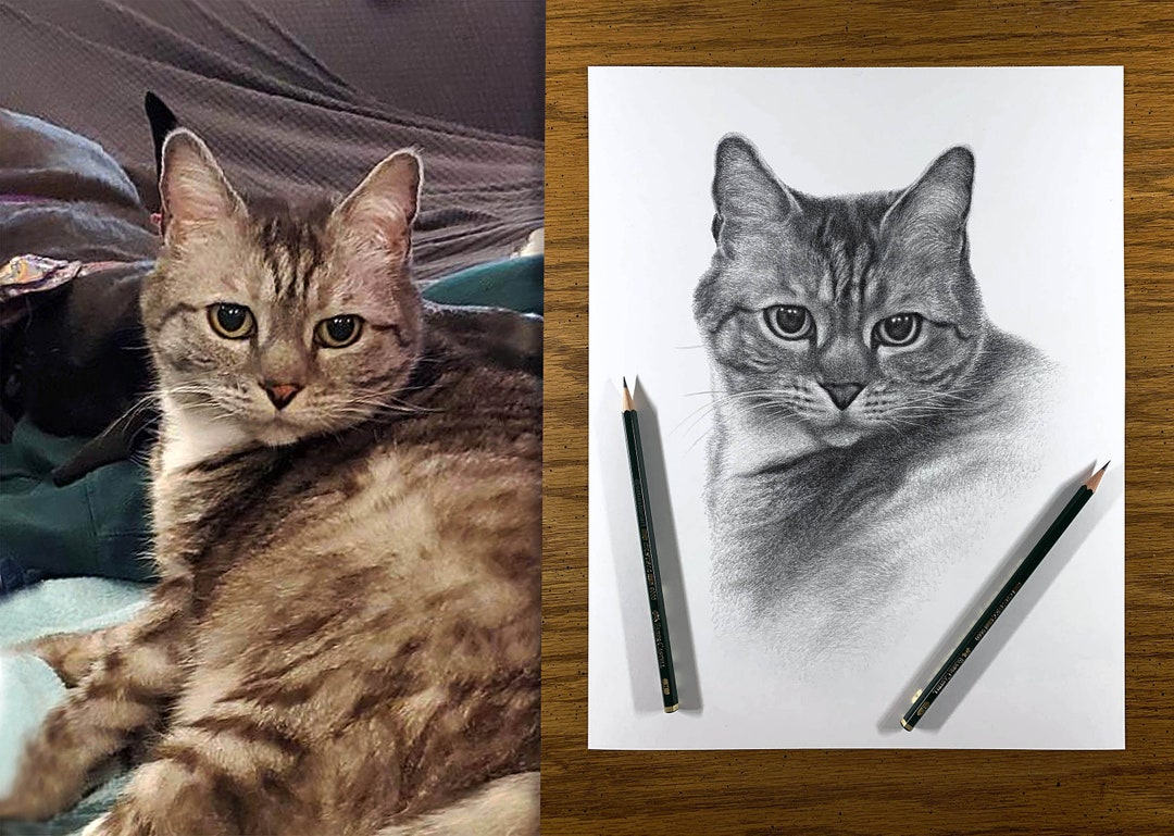 Dibujo personalizado a lápiz de gato a partir de foto 100% - Etsy España