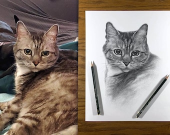 Personalisierte Katze Bleistiftzeichnung vom Foto (100% Handarbeit).
