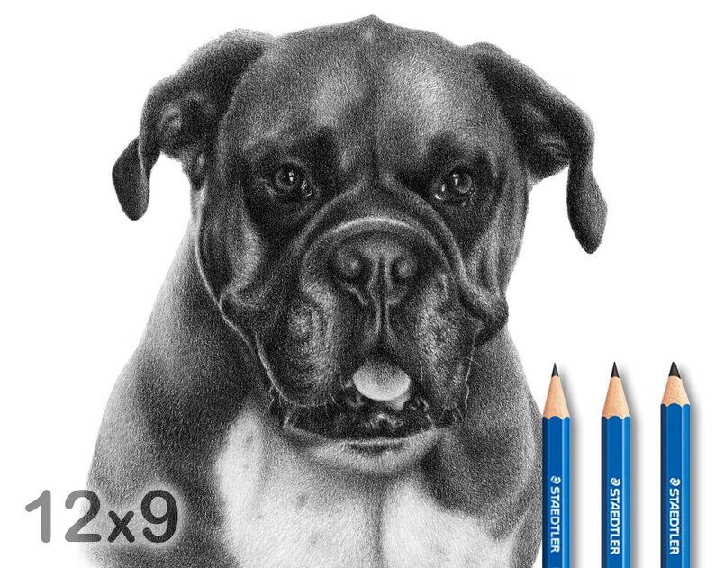 Pencil Custom Dog Portrait 1