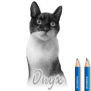 Custom Cat drawing with name - Gifts for pets.