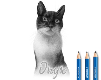 Custom Cat drawing with name - Gifts for pets.