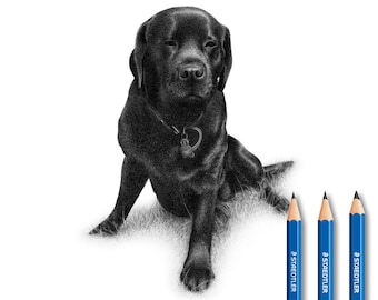 Labrador pencil drawing - Custom Lab drawings (100% handmade).