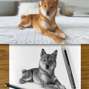 Personalized dog pencil drawing Custom dog drawing 100% Hand-drawn portrait. image 6