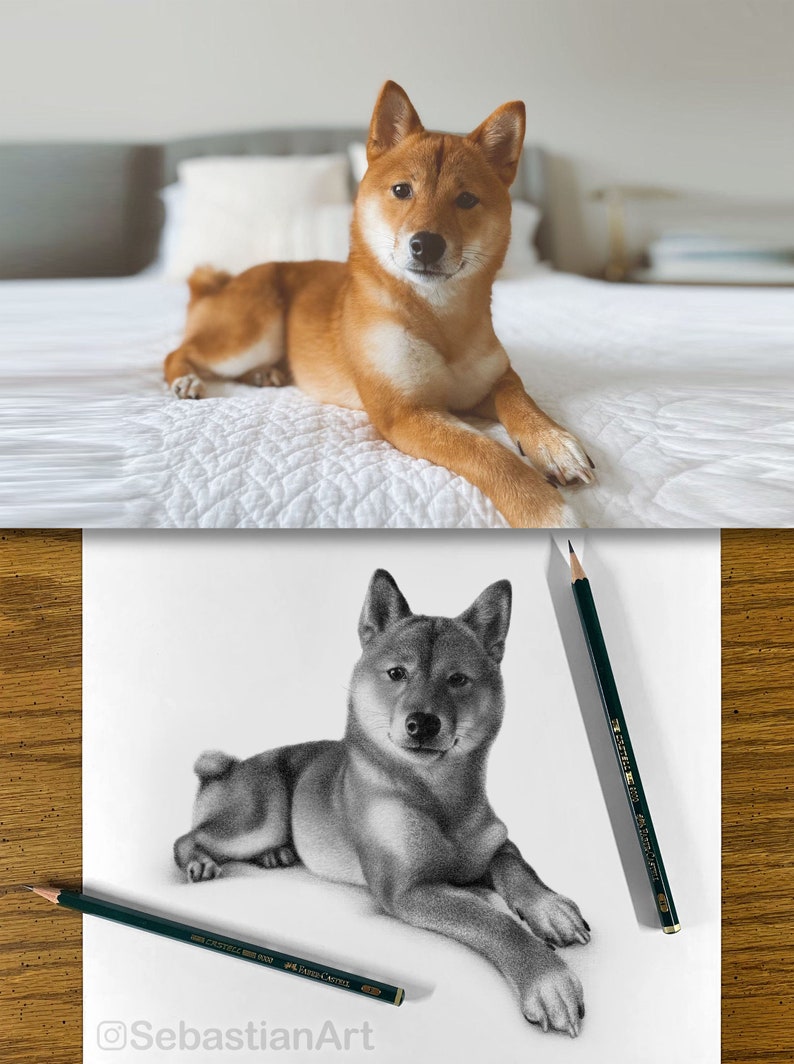 Personalized dog pencil drawing Custom dog drawing 100% Hand-drawn portrait. image 6