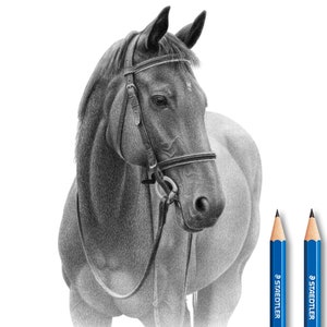 Personalized Horse pencil drawing from photo.