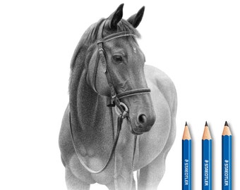 Personalized Horse pencil drawing from photo.