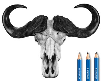 Personalized Cape Buffalo skull pencil drawing - 100% handmade.