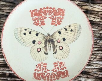 Entomology trinket tray