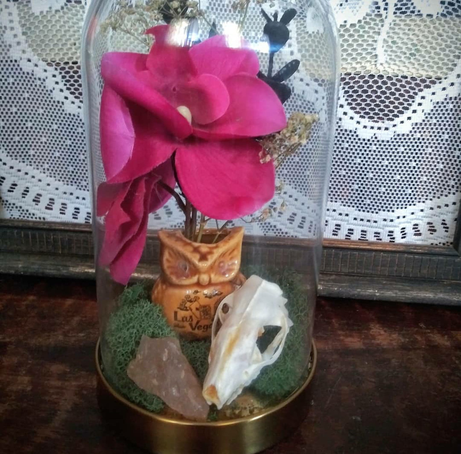 Creepy orchid taxidermy cloche Etsy