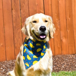 Tacos Over The Collar Dog Bandana, Food Dog Bandana, Taco Tuesday Dog Bandana, Cinco De Mayo Dog Bandana, Taco Day Dog Bandana