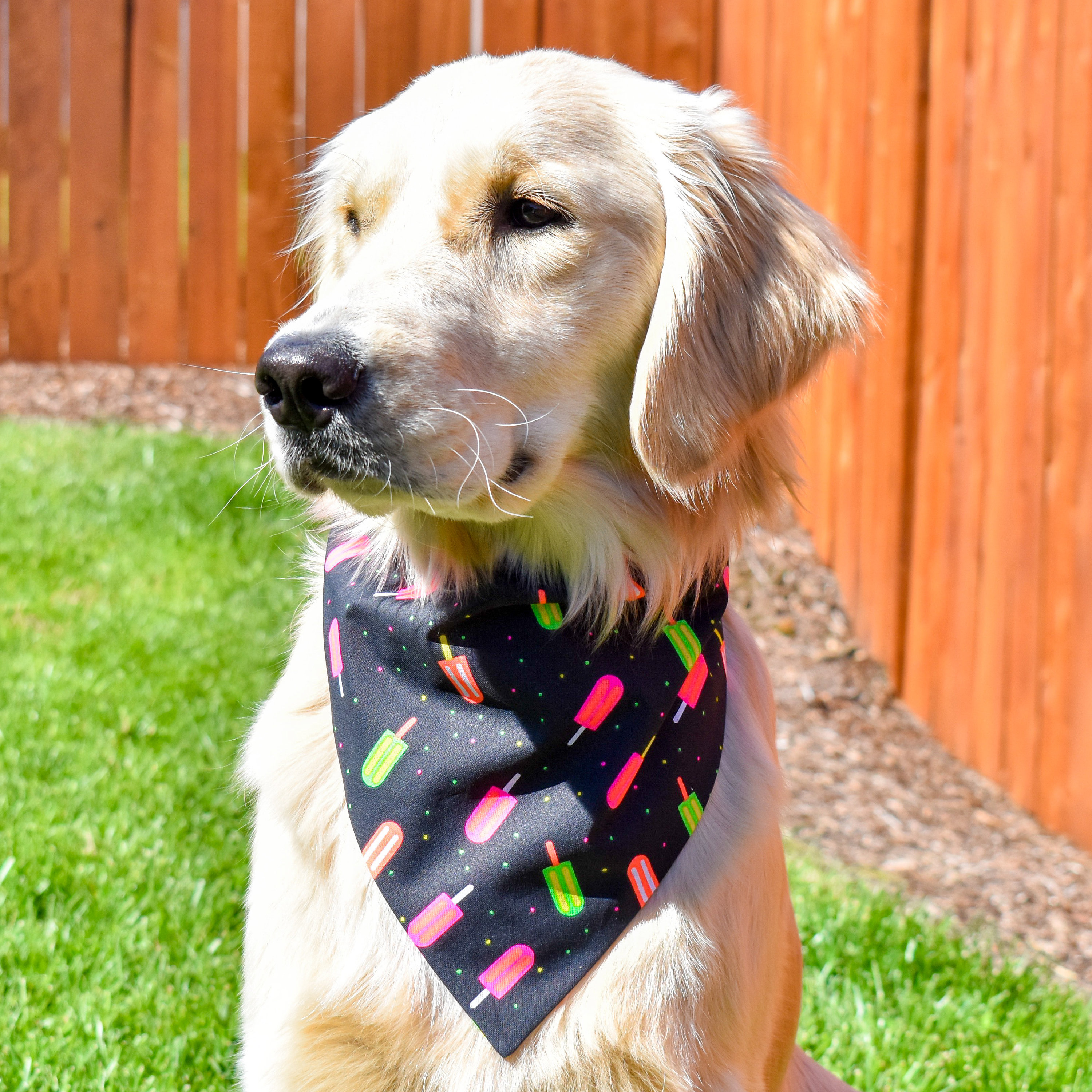 Neon Popsicles Over The Collar Dog Bandana, Summer Black Food Lover Gift Idea