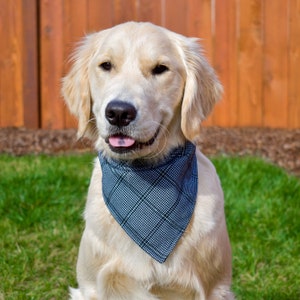 Tie On Black and Silver Modern Dog Bandana, Black Dog Bandana, Silver Dog Bandana, Dog Bandana Silver, Dog Bandana Black