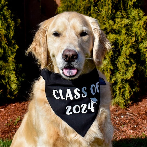 Class of 2024 Over The Collar Graduation Dog Bandana, Graduation Announcement Idea, Graduation Photo Prop, Dog Graduation, Grad Announcement