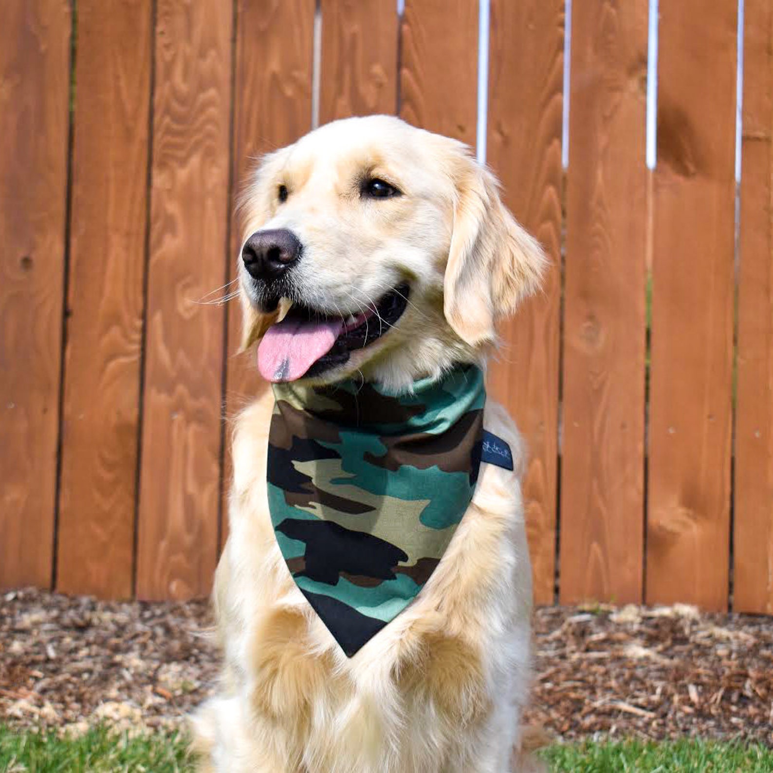 Camouflage Over the Collar Dog Bandana Camo Dog Bandana Camo Etsy Canada
