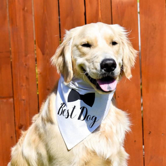 Over the Collar Best Dog Bandana Best Man Dog Bandana Wedding Dog Bandana Groomsman Dog Bandana Wedding Photo Prop Wedding Photos Etsy