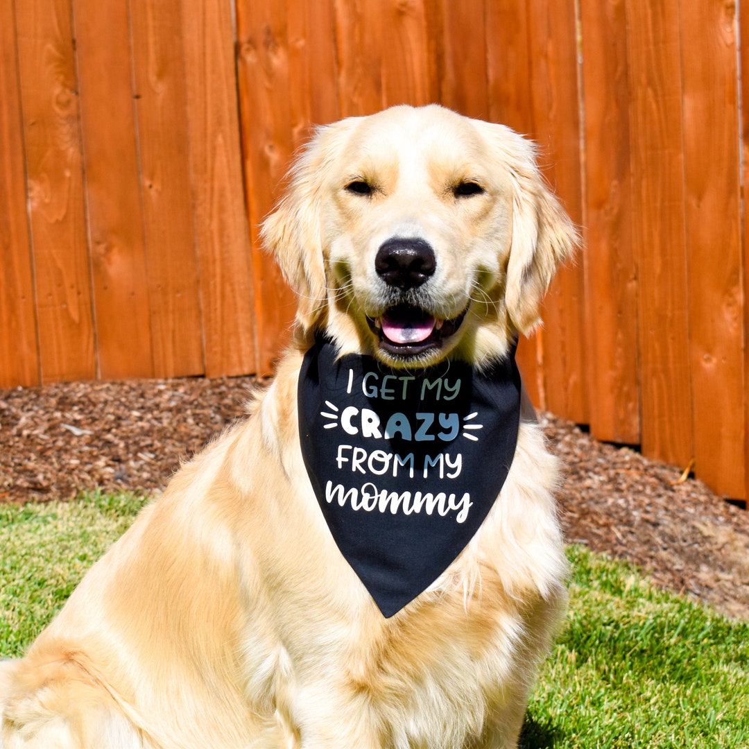 My moms hot dog clearance bandana
