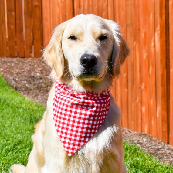 Red Gingham Over the Collar Dog Bandana Summer Dog Bandana Spring Dog Bandana Dog Bandana Red Plaid Dog Bandana Checkered Dog Bandana Etsy