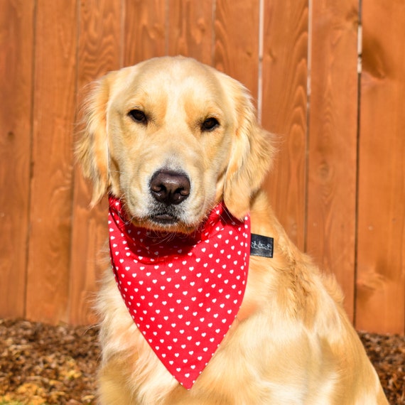 Over the Collar Dog White Hearts on Red Bandana White Hearts on Red Dog Bandana Hearts Day Dog Bandana Love Dog Bandana Valentine Etsy