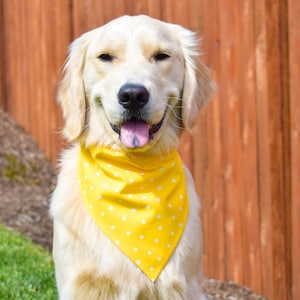 Yellow Polka Dot Over The Collar Dog Bandana, Dog Bandana Polka Dots, Polka Dots Dog Bandana, Spring Dog Bandana, Yellow Dog Bandana, Summer