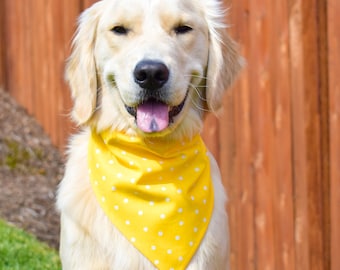 Yellow Polka Dot Over The Collar Dog Bandana, Dog Bandana Polka Dots, Polka Dots Dog Bandana, Spring Dog Bandana, Yellow Dog Bandana, Summer