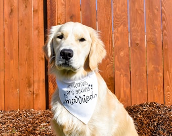 My Humans Are Getting Married Over The Collar Dog Bandana, Engagement Announcement, Engagement Present, Dog Engagement Announcement