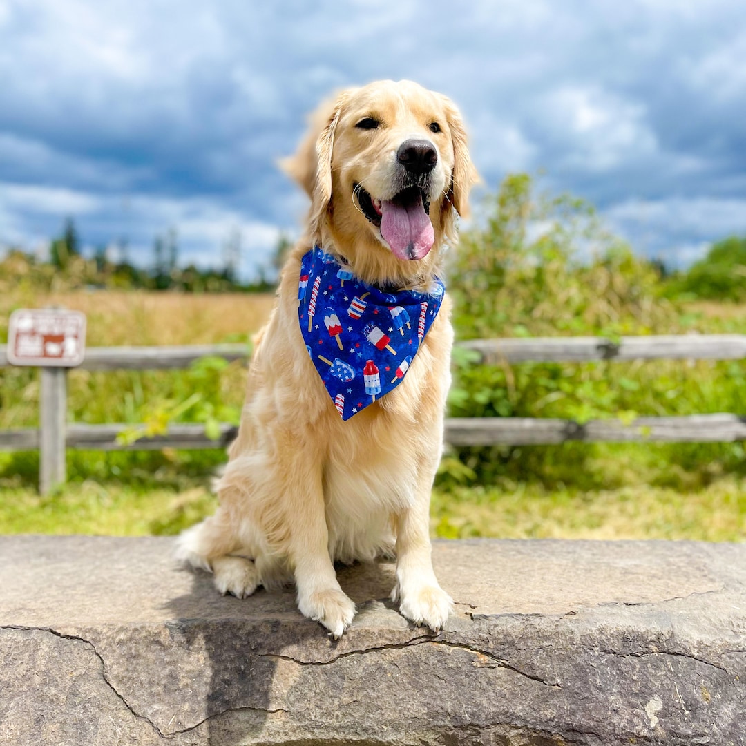 Bow Tie Matching Dog Bandana And Scarf Dog 4th Of July Outfit - Main Image