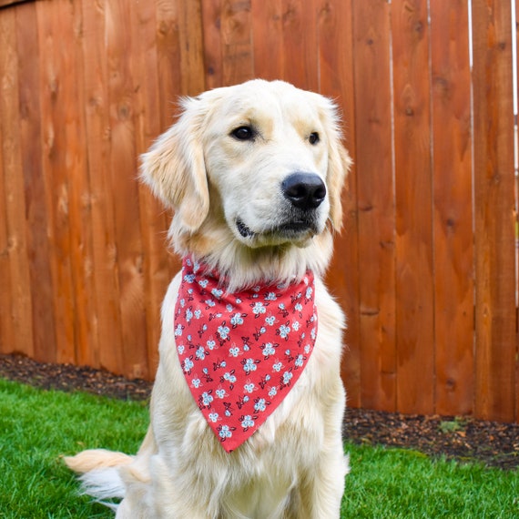 thumbnail image 2 of HACRAHO Blank Dog Bandana, 4 PCS Red Pet Bandana Collar With Quickly Release Buckle Adjustable Sublimation Dog Bandana With Removable Red Collar For 2 of 11