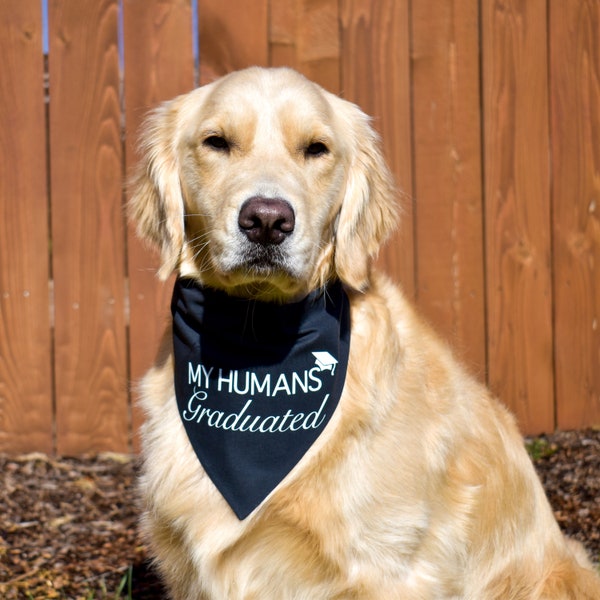 My Humans Graduated Over The Collar Dog Bandana, Couples Graduation Announcement, Graduation Photo Prop Dog, Cute Graduation Photo Idea