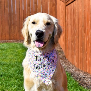 May include: A Golden Retriever wearing a colorful bandana with the text "It's my Birthday!" The bandana has a white background with a pattern of colorful sprinkles. The dog is sitting on green grass in front of a wooden fence.