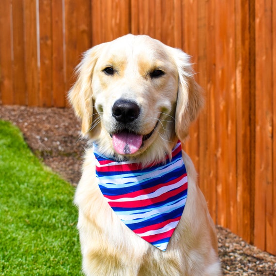 Red White and Blue Stripes Over the Collar Dog Bandana, Patriotic