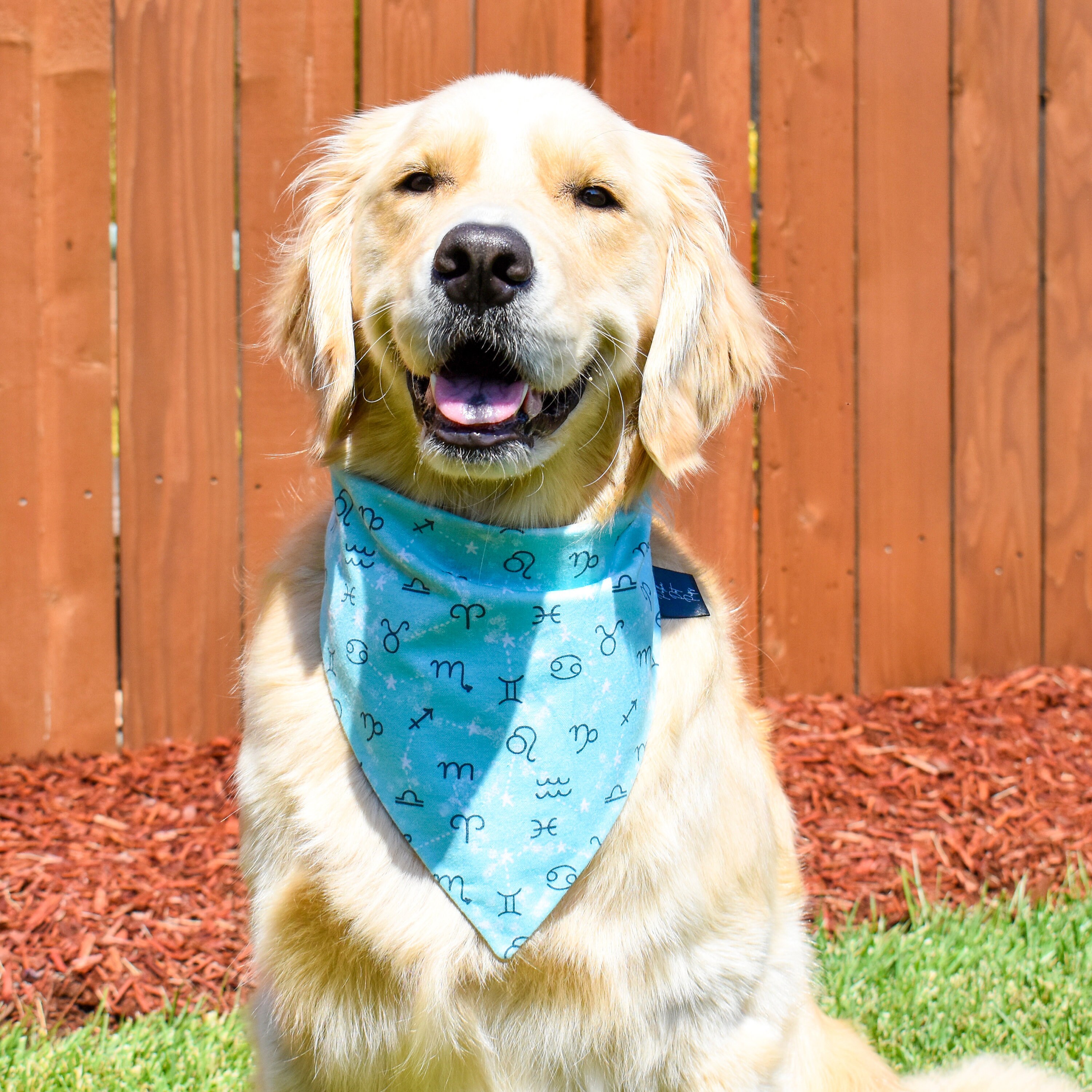 thumbnail image 2 of Pisces Zodiac Sign Symbol At Lori Birdwell Blog 2 of 13