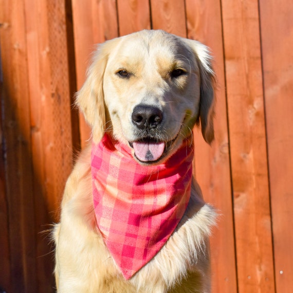 Flannel dog bandana cheap