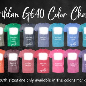 Princess Anna Bleached and non bleached Shirt, Princess Anna T-shirt, Anna Shirt, Disney Shirt, Disney Trip t-Shirt, Disney Gift image 2