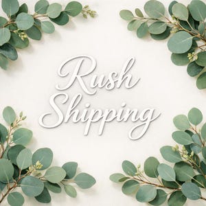 Könnte beinhalten: Weißer Text "Rush Shipping" in Schreibschrift auf cremefarbenem Hintergrund. Eukalyptuszweige mit grünen Blättern und kleinen Knospen umrahmen den Text in jeder Ecke und bilden einen natürlichen, eleganten Rahmen.