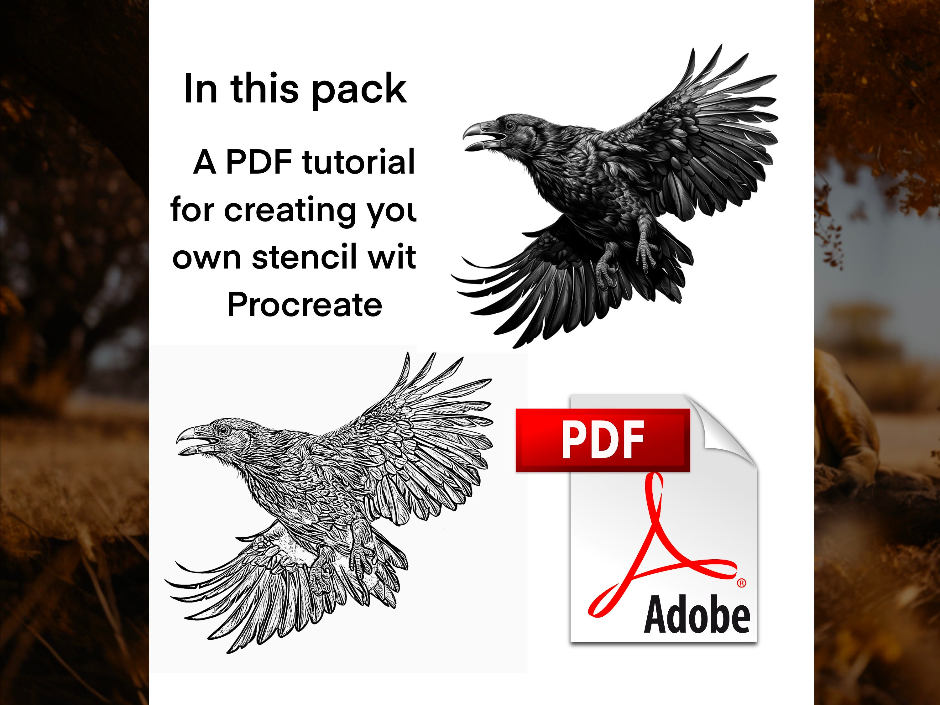 Procreate Lion Realistic Brush Stamps Photoshop preview 8