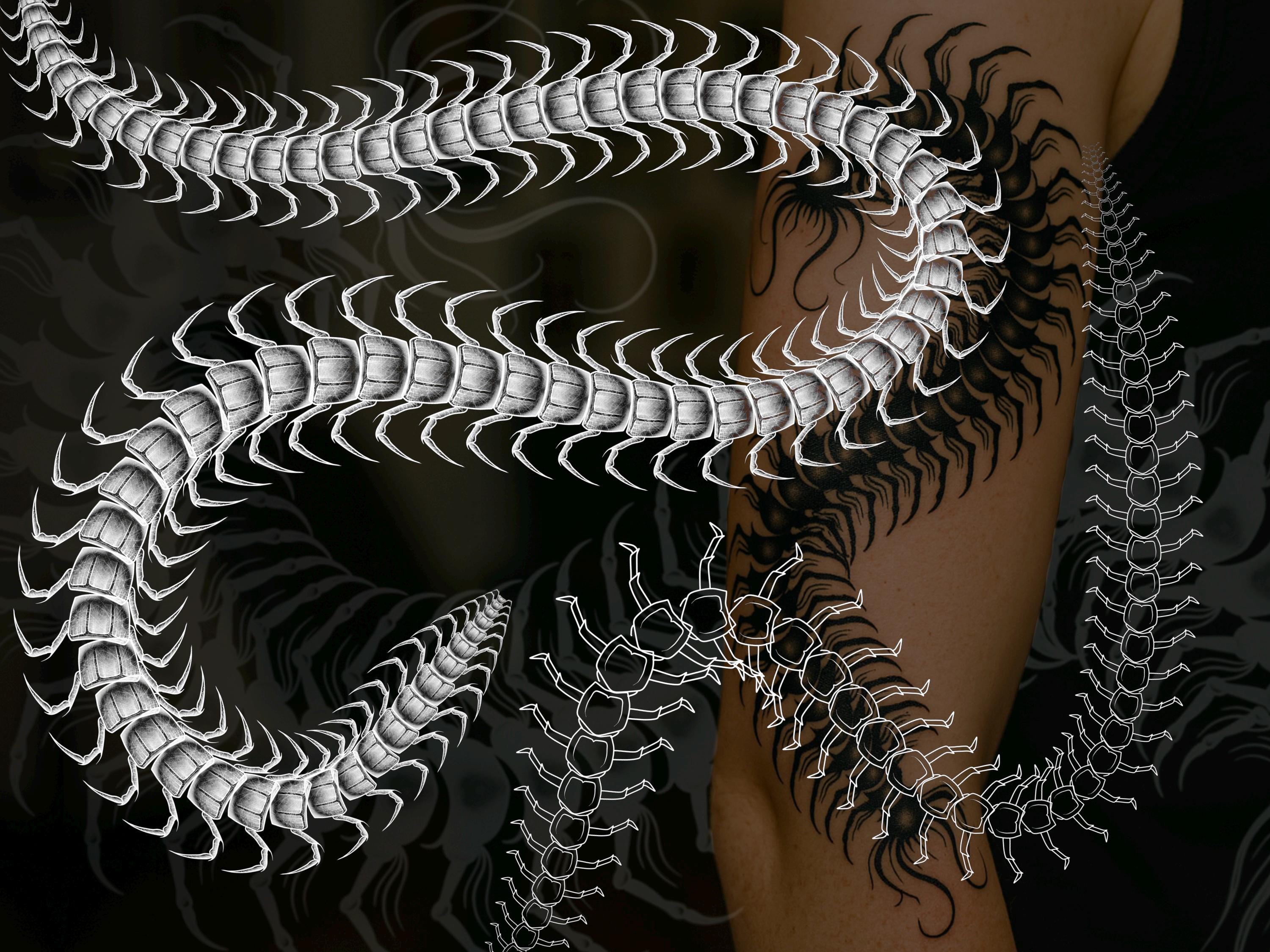 Thumbnail 6