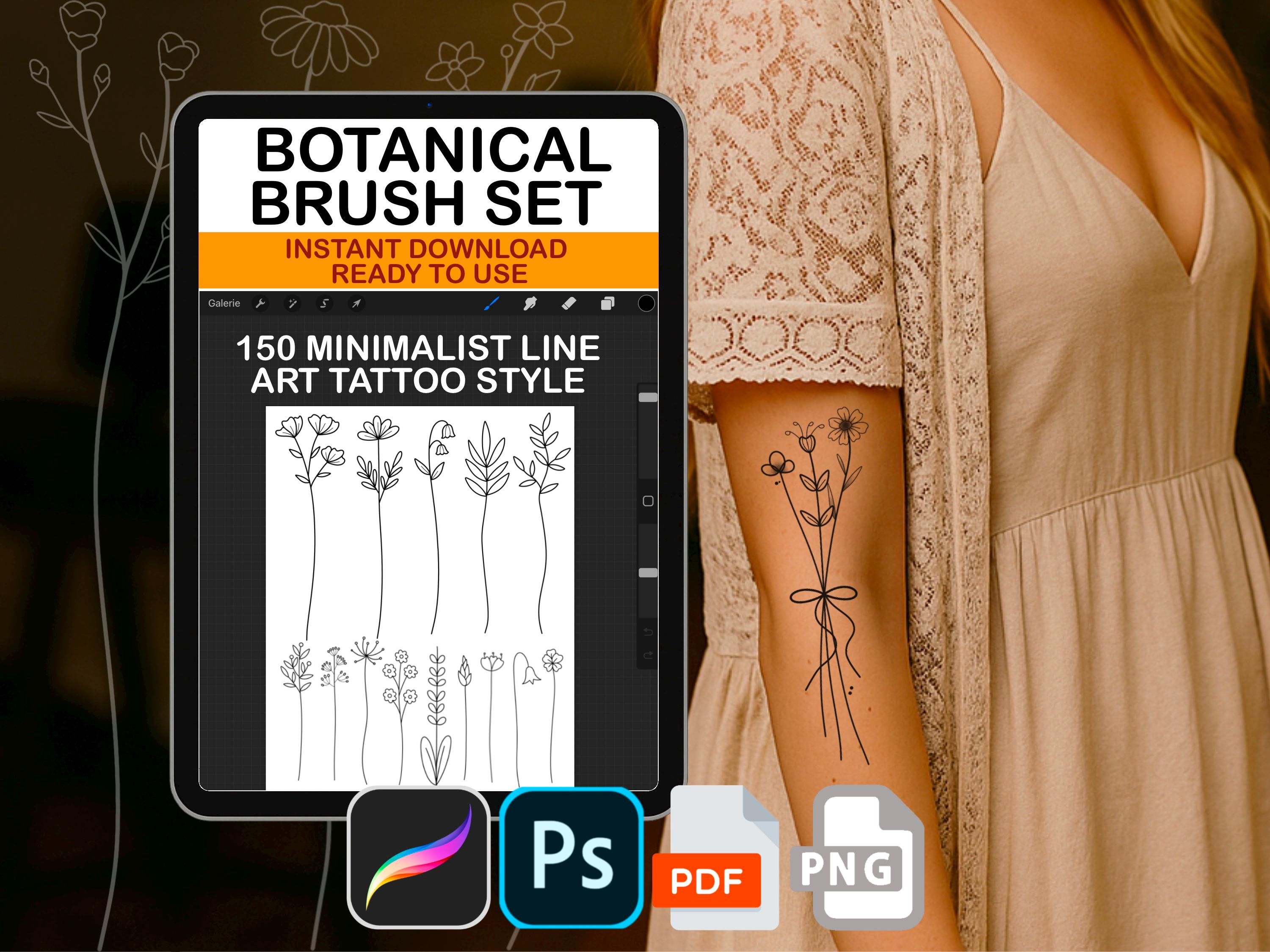Procreate Botanical Minimalist Line Art Brush Set Photoshop ABR PDF PNG