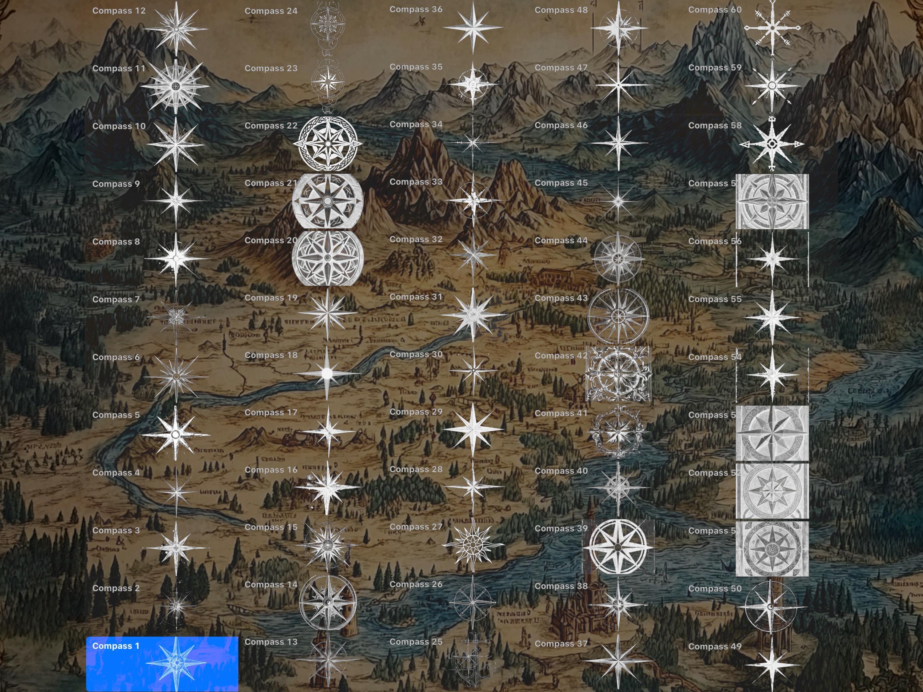 Procreate Compass Rose Brush Stamps preview 6