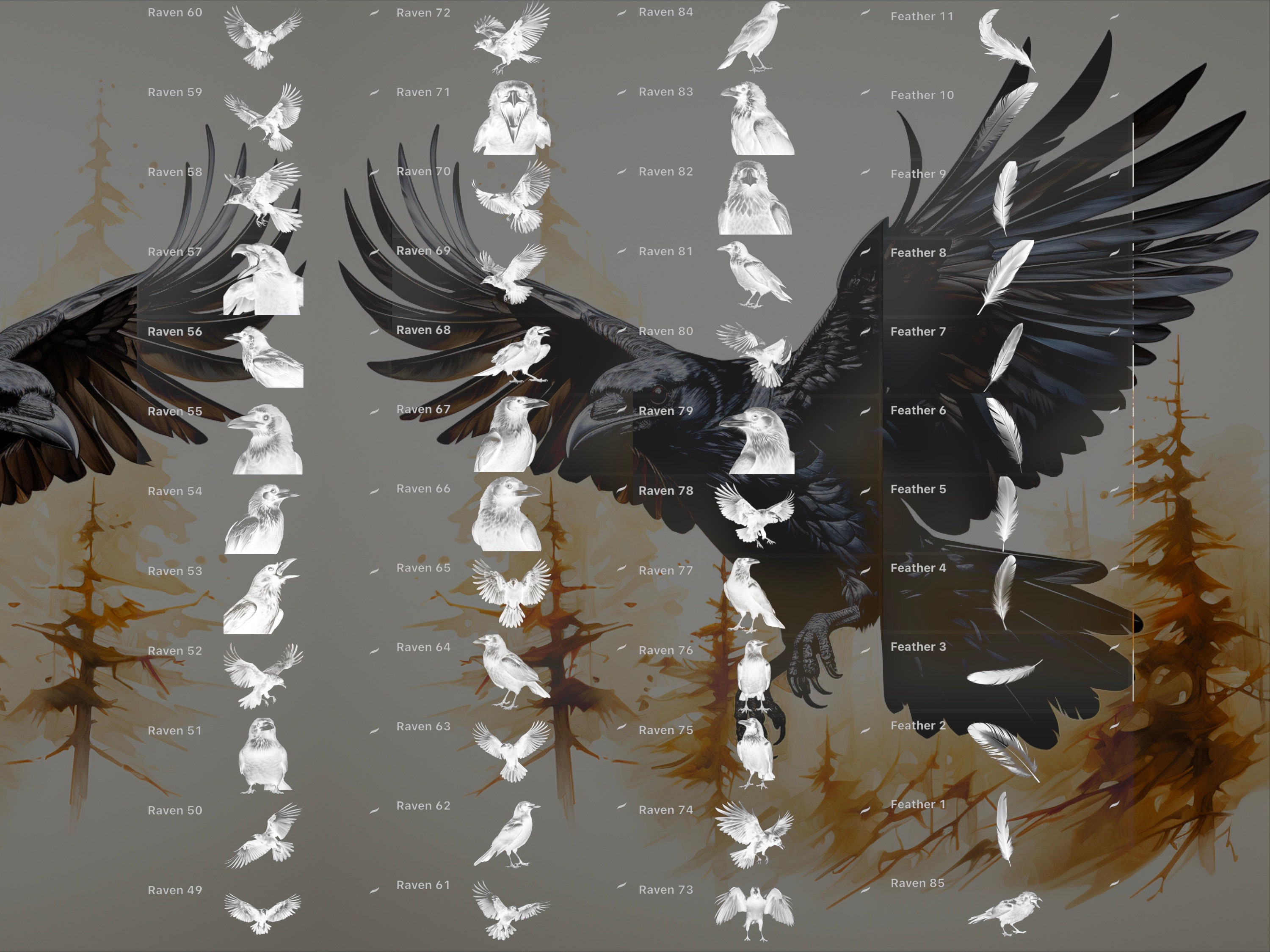 Procreate Crow Raven Brush Stamps preview 4