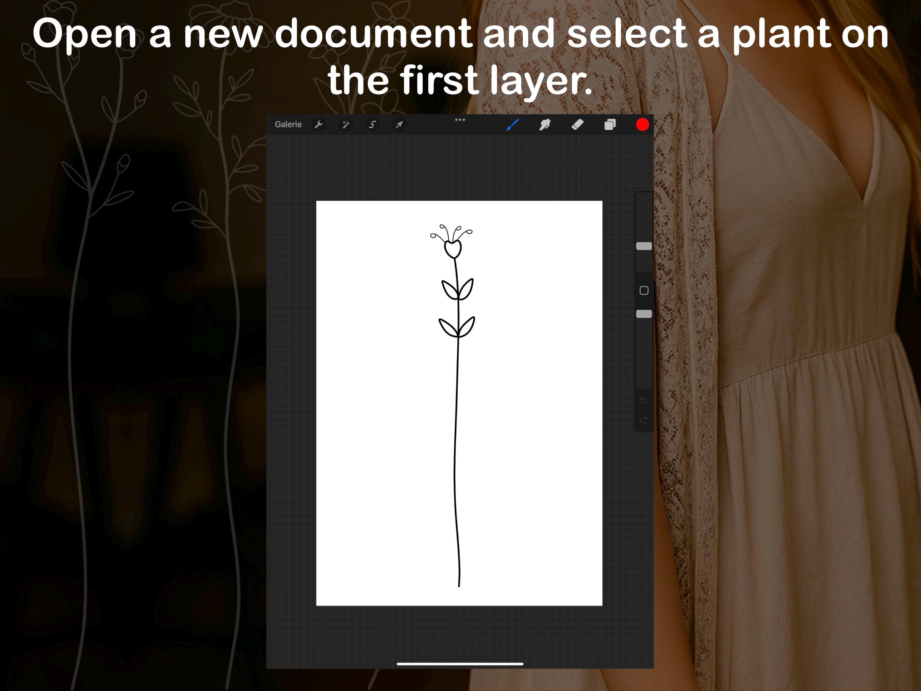Procreate Botanical Minimalist Line Art Brush Set Photoshop ABR PDF PNG preview 4