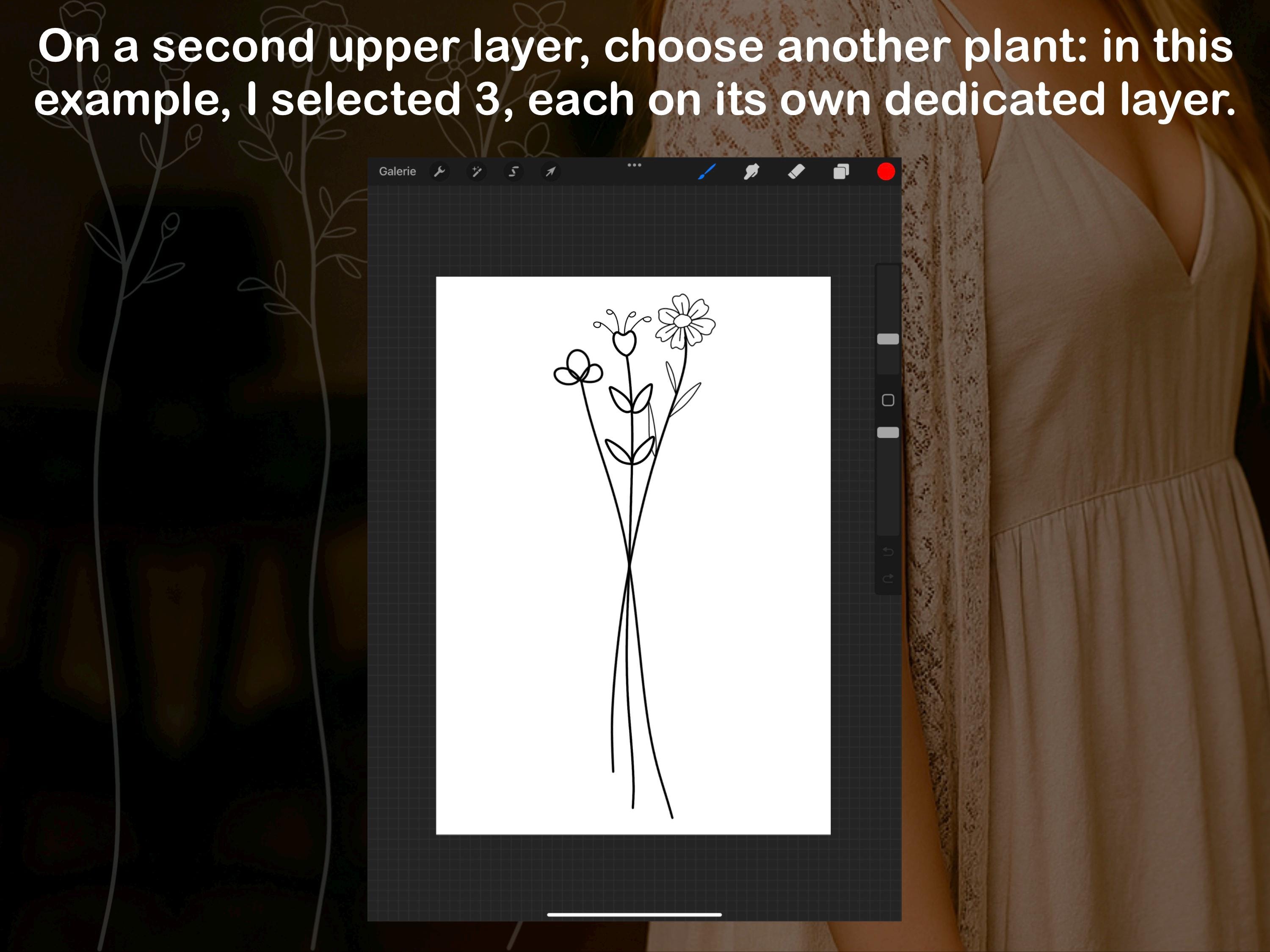 Procreate Botanical Minimalist Line Art Brush Set Photoshop ABR PDF PNG preview 5