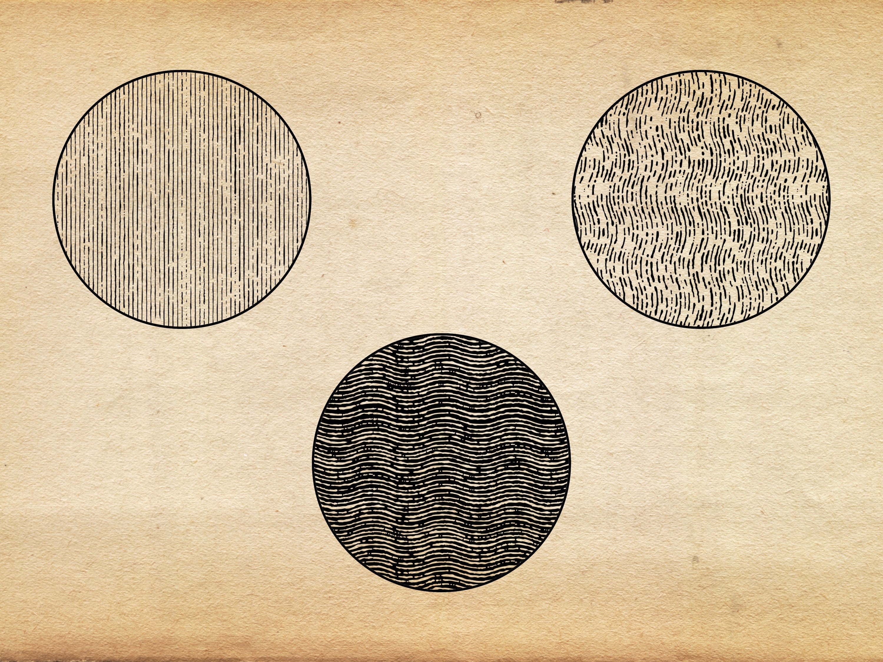 Procreate Engraving Ancient Engraving Vintage Brush Stamps preview 7